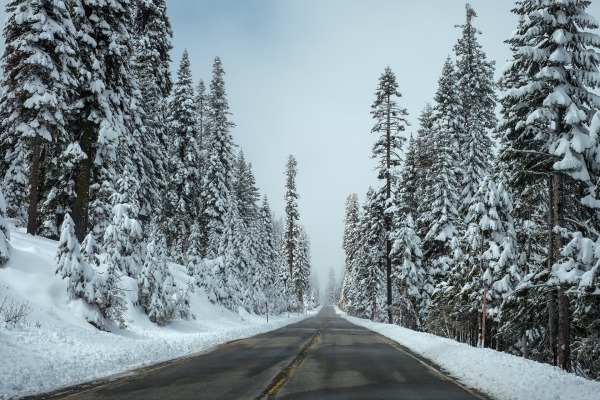 Holiday Road Trip Safety Tips